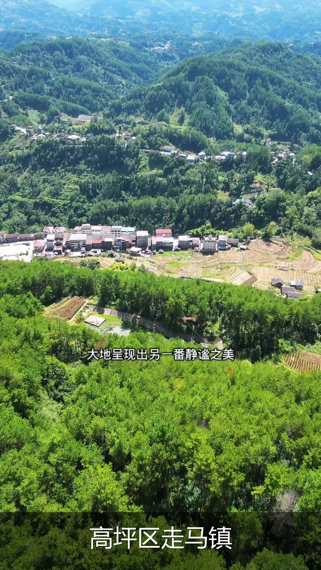 高坪区走马镇