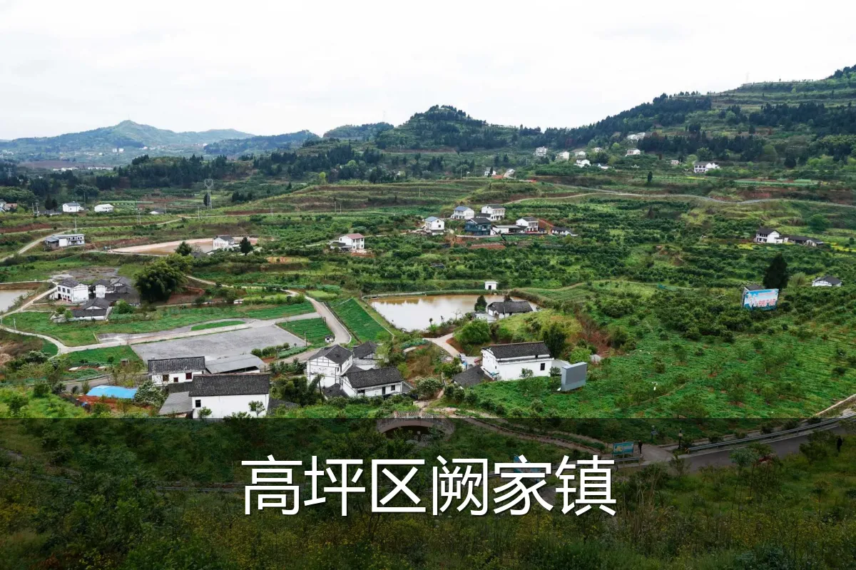 高坪区阙家镇