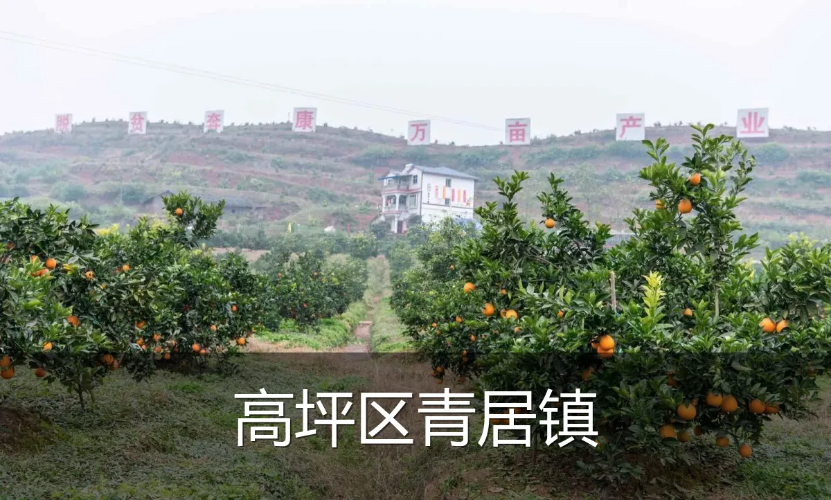 高坪区青居镇