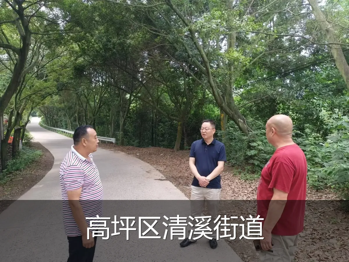 高坪区清溪街道